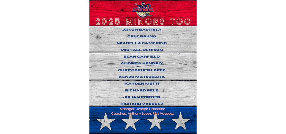 2025 Minors TOC